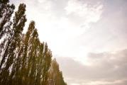 DSC_0192.JPG